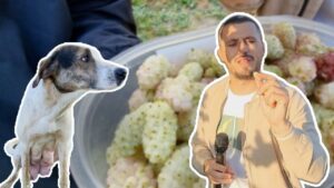 Fshati Kazie i braktisur nga njerëzit, por jo nga natyra…