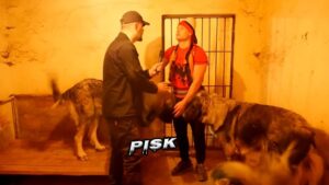 Gazetari tmerrohet nga frika kur futet mes “Qenve të Sharrit”, ç’ndodh më pas?!